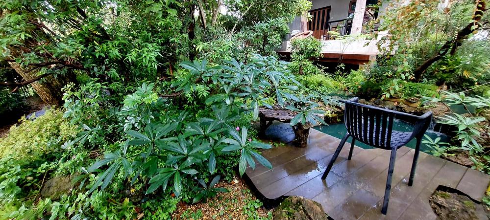 ไอเดียแต่งสวนให้เป็นธรรมชาติ