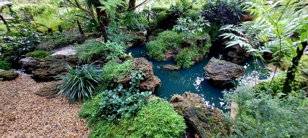 ไอเดียแต่งสวนให้เป็นธรรมชาติ