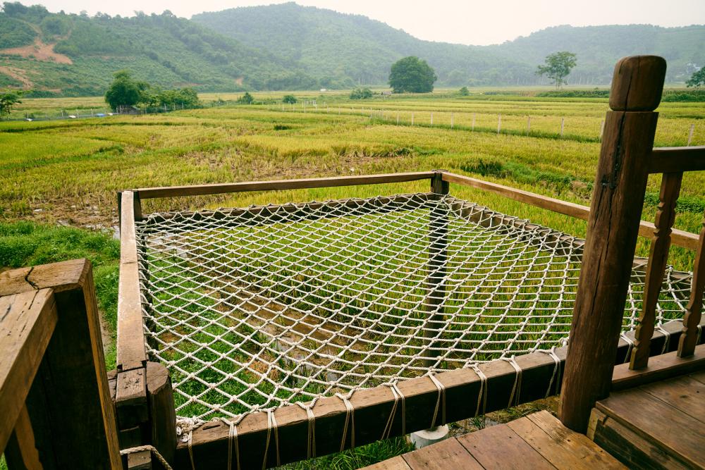 บ้านชายทุ่ง ครึ่งปูนครึ่งไม้ กับบรรยากาศธรรมชาติ