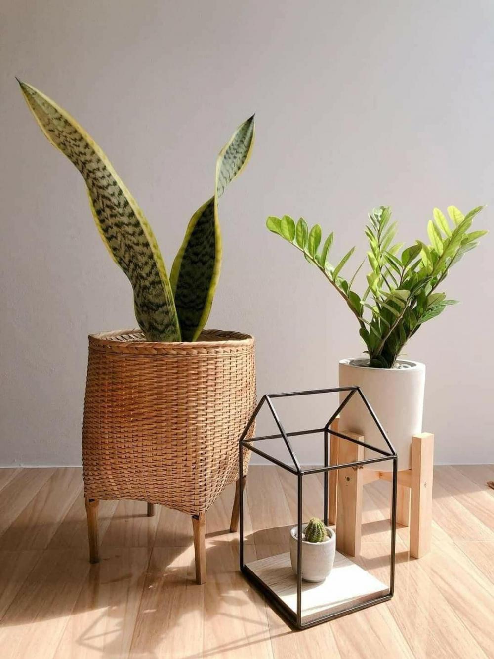 โมเดิร์นมินิมอล งบ 8 แสน น่ารักน่าอยู่