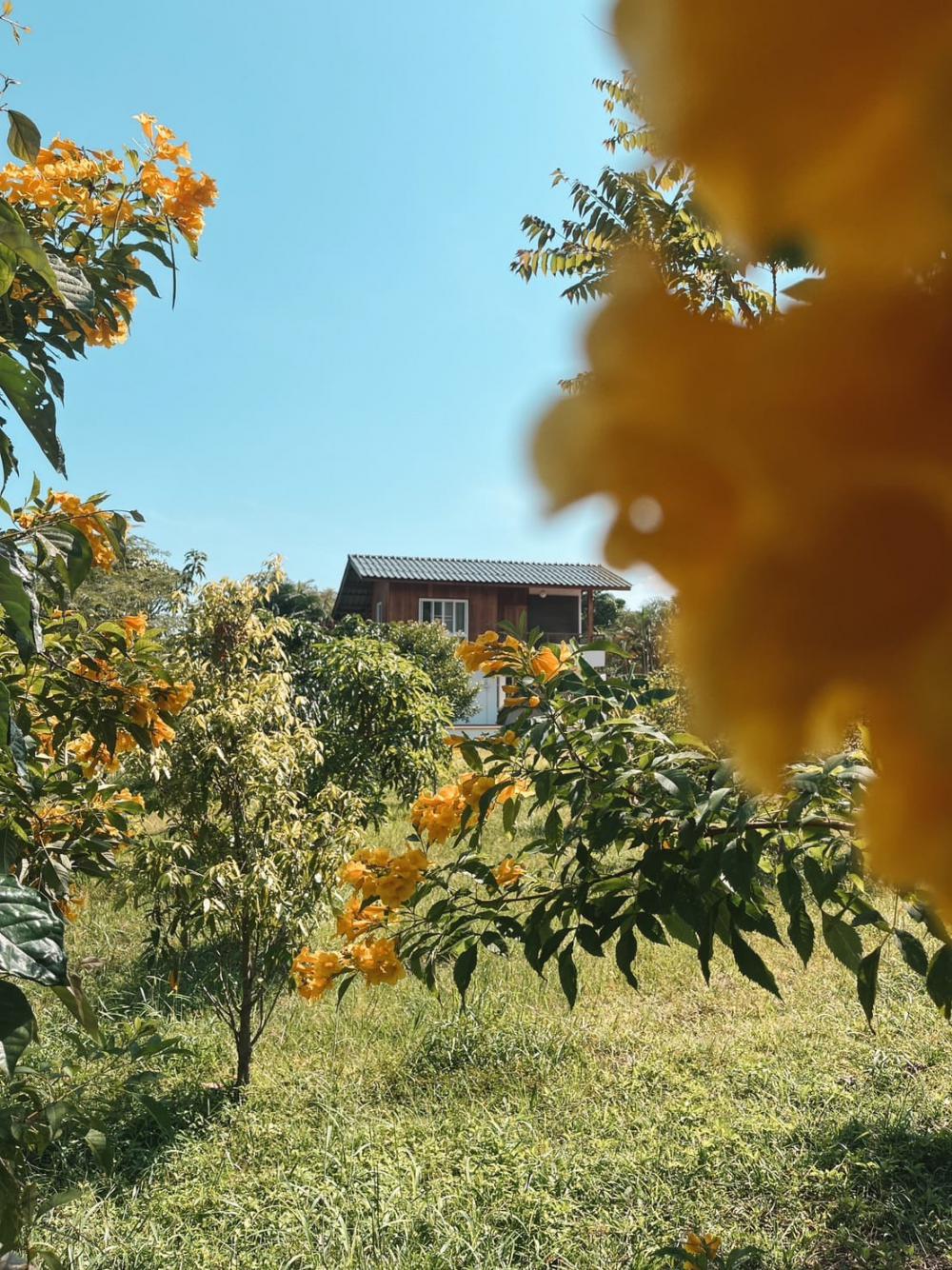 ไอเดียบ้านไม้ 2 ชั้น สวยงามสงบน่าอยู่