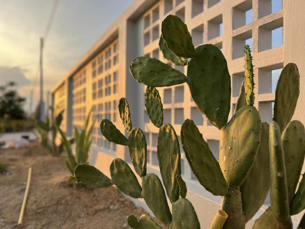 บ้านนอร์ดิก มินิมอล มีที่จอดรถ และรั้วมินิมอล