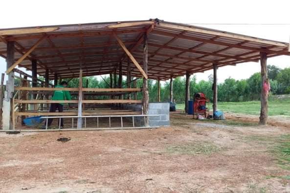 แบบโรงเรือนคอกวัว