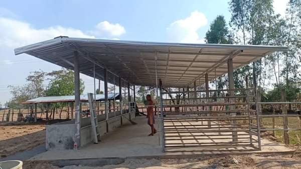 แบบโรงเรือนคอกวัว