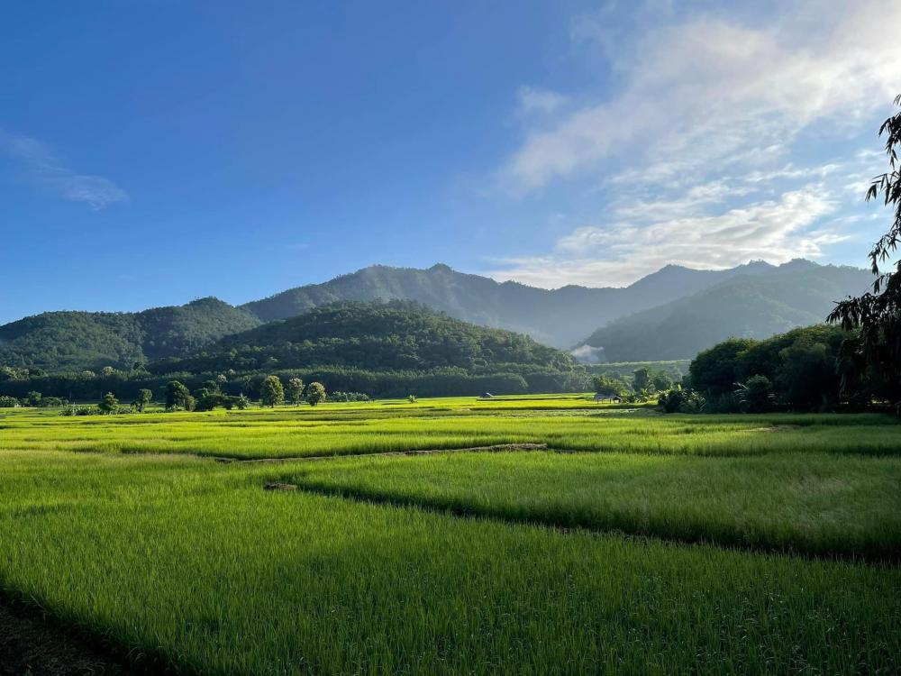 บ้านสวนสไตล์นอร์ดิกสองชั้น ด้านบนบ้านมีระเบียงเดิน แต่งสวยมาก