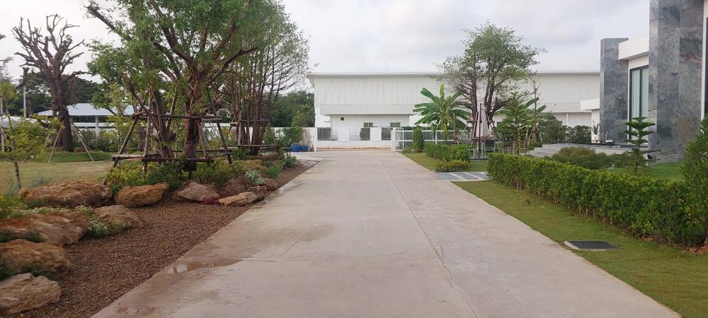 จัดสวนข้างถนน