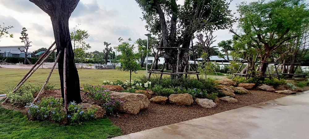 จัดสวนข้างถนน