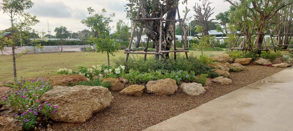 จัดสวนข้างถนน