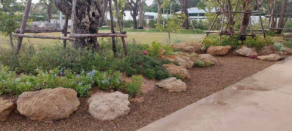 จัดสวนข้างถนน