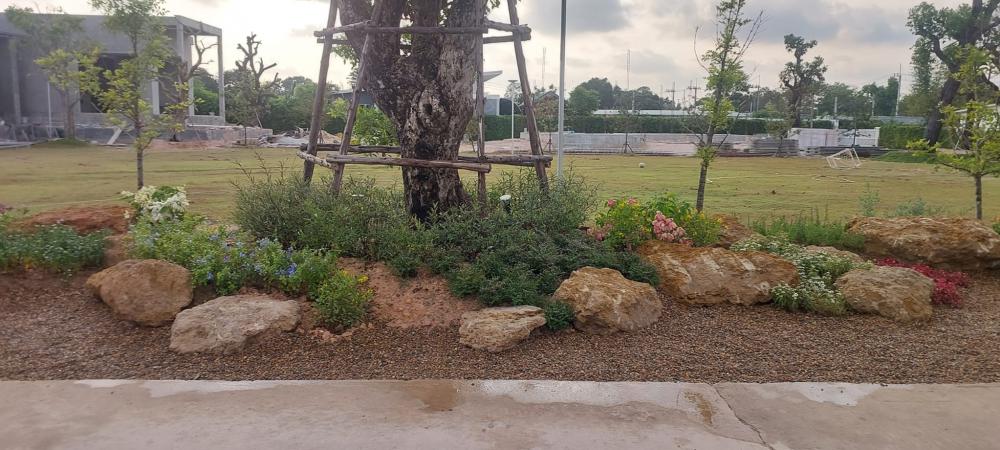 จัดสวนข้างถนน