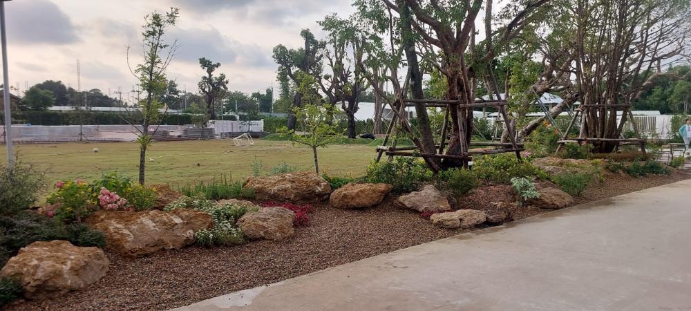 จัดสวนข้างถนน