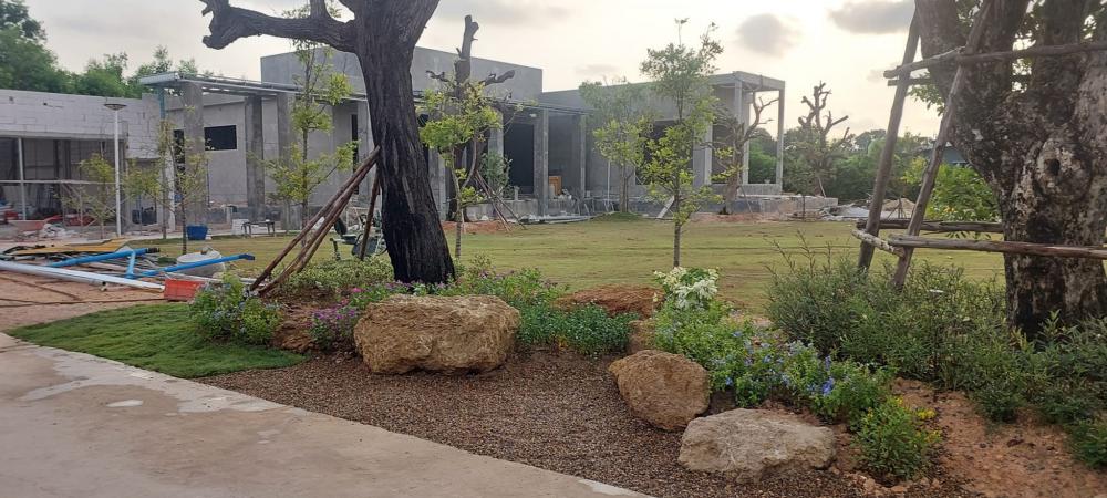 จัดสวนข้างถนน