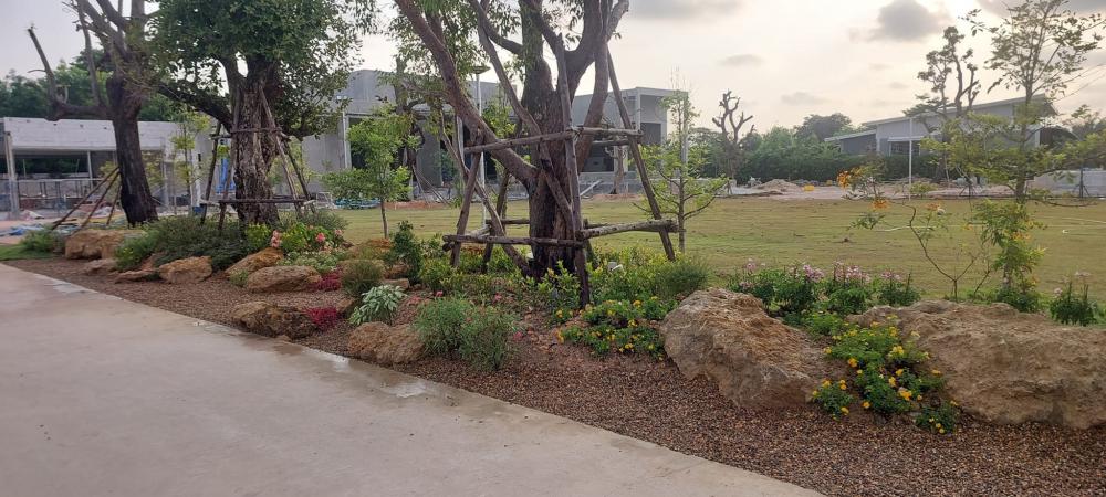 จัดสวนข้างถนน