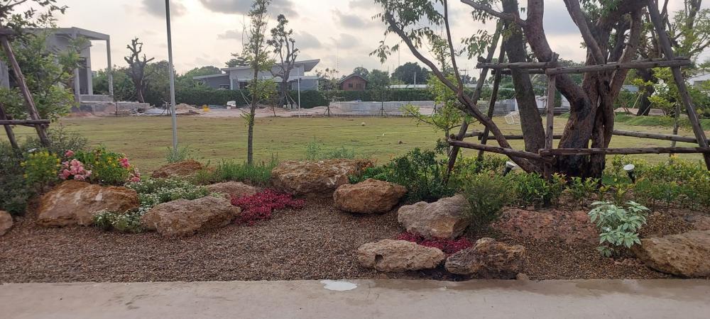 จัดสวนข้างถนน