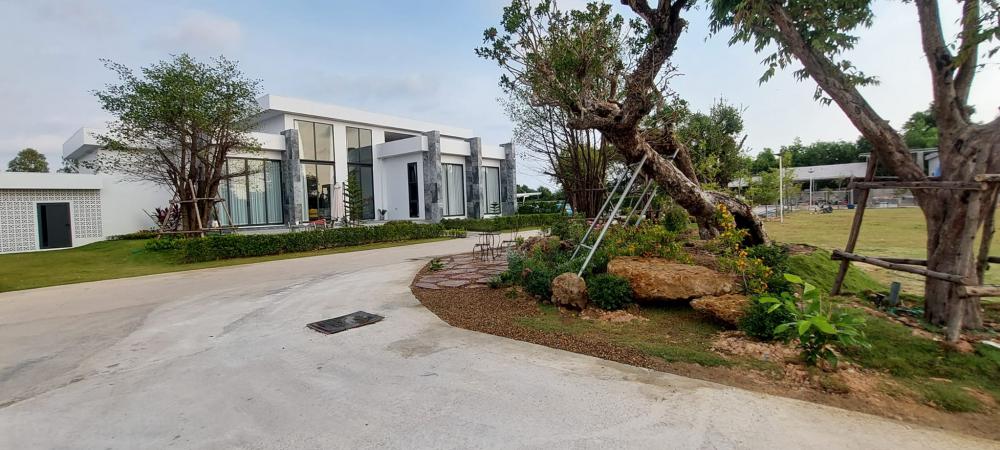 จัดสวนข้างถนน