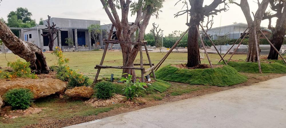 จัดสวนข้างถนน