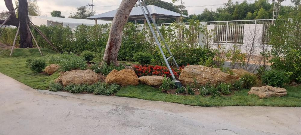 จัดสวนข้างถนน