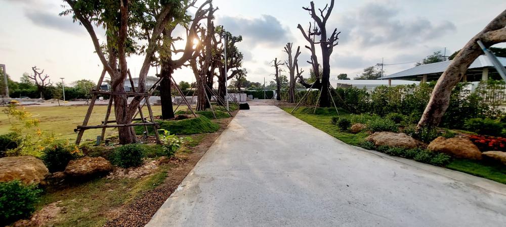 จัดสวนข้างถนน