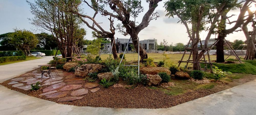 จัดสวนข้างถนน