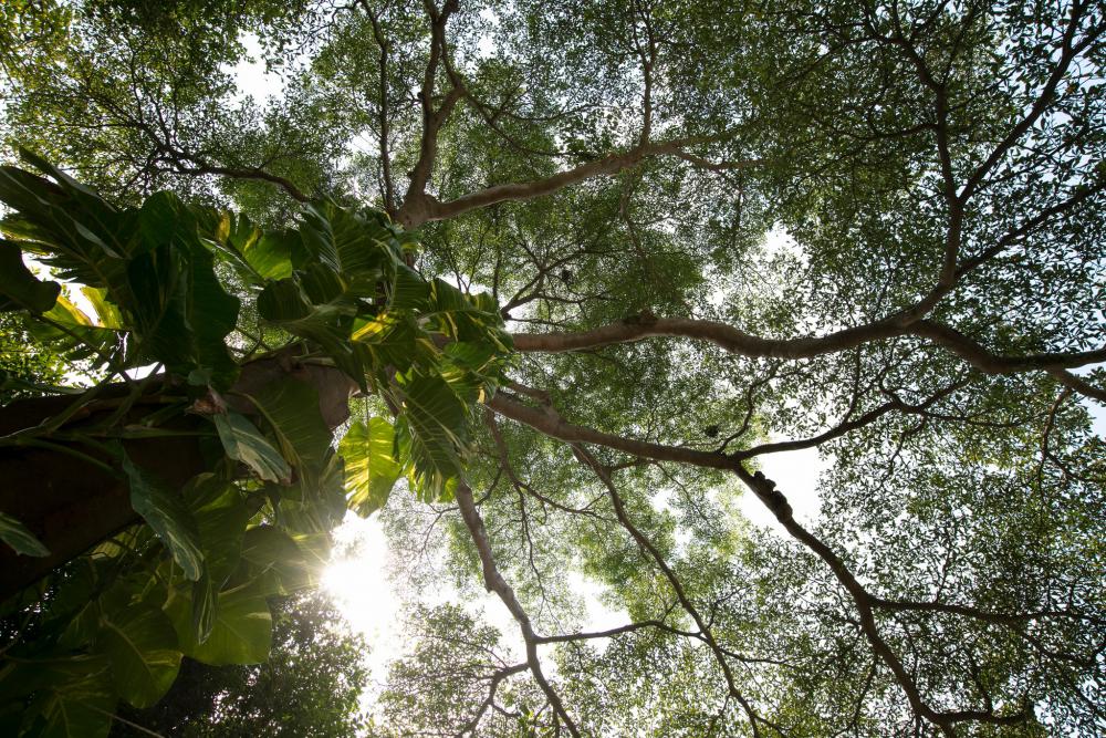 แต่งบ้านครึ่งปูนครึ่งไม้ให้น่าอยู่