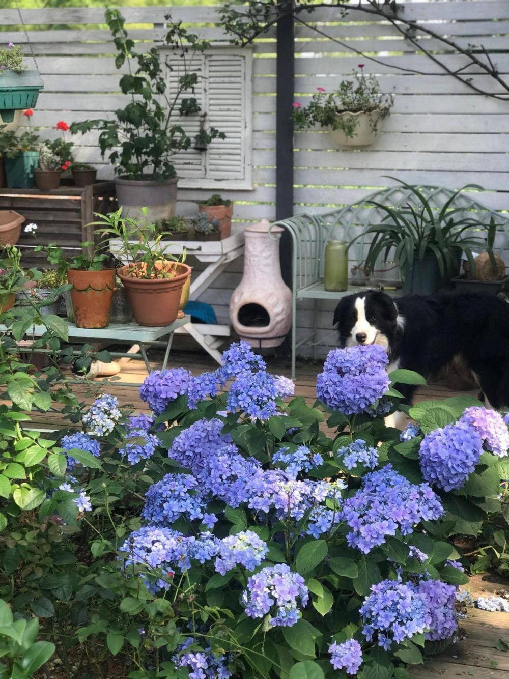 ไอเดียบ้านสวย2ชั้น