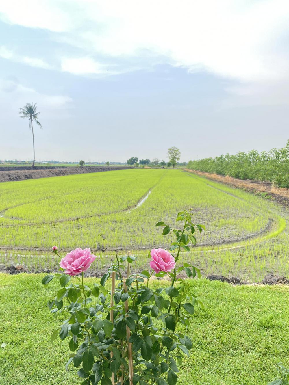 บ้านสวนหลังน้อยสวยน่าอยู่มาก งบ 2.7 แสนบาท