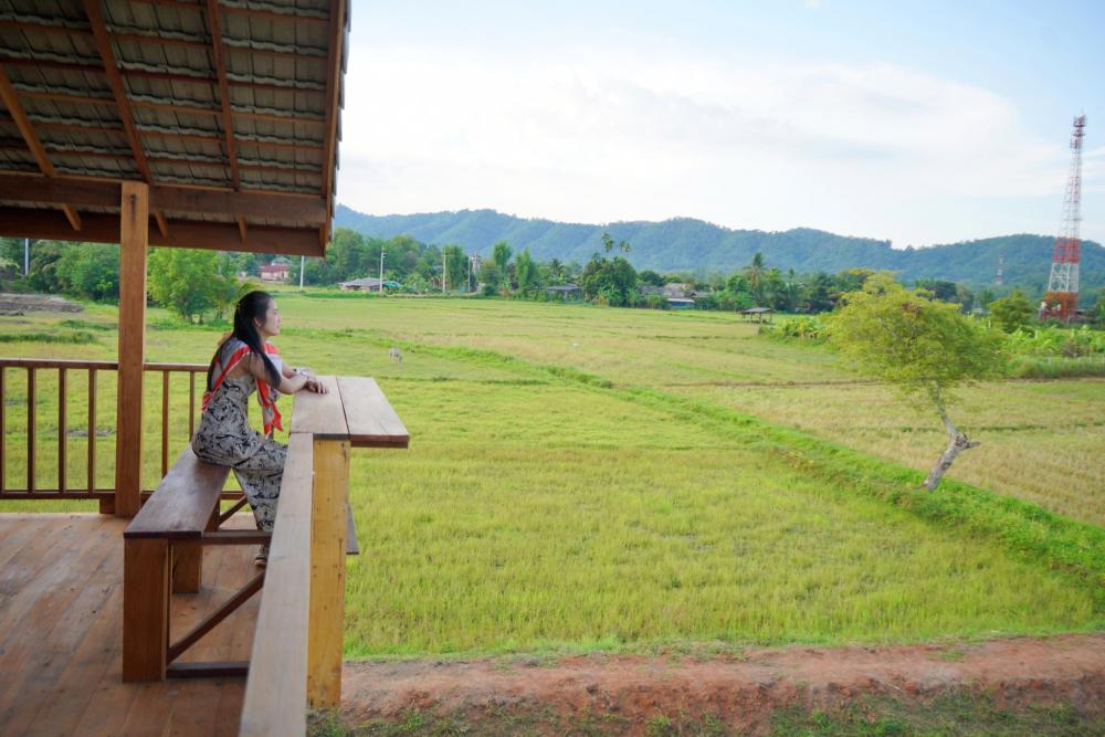 ไอเดียบ้านไม้สวย 2 ชั้นกลางทุ่ง