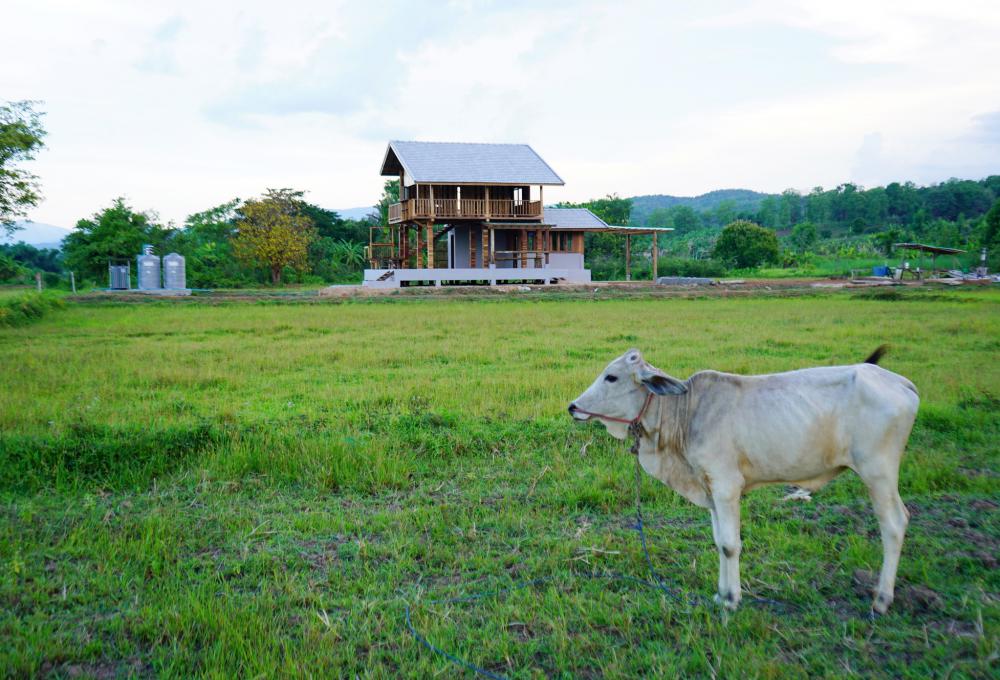 ไอเดียบ้านไม้สวย 2 ชั้นกลางทุ่ง