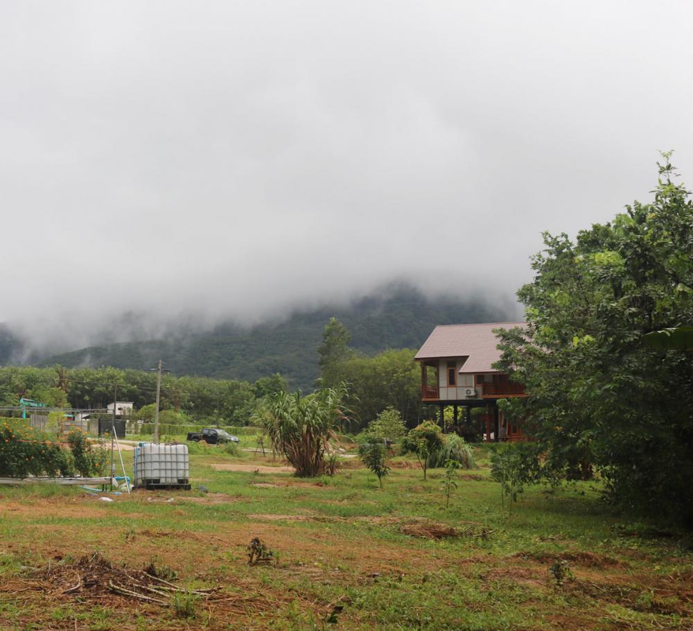 ไอเดียบ้านสวนสวย 2 ชั้นอบอุ่นด้วยงานไม้