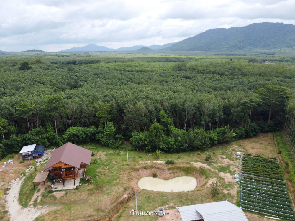 ไอเดียบ้านสวนสวย 2 ชั้นอบอุ่นด้วยงานไม้