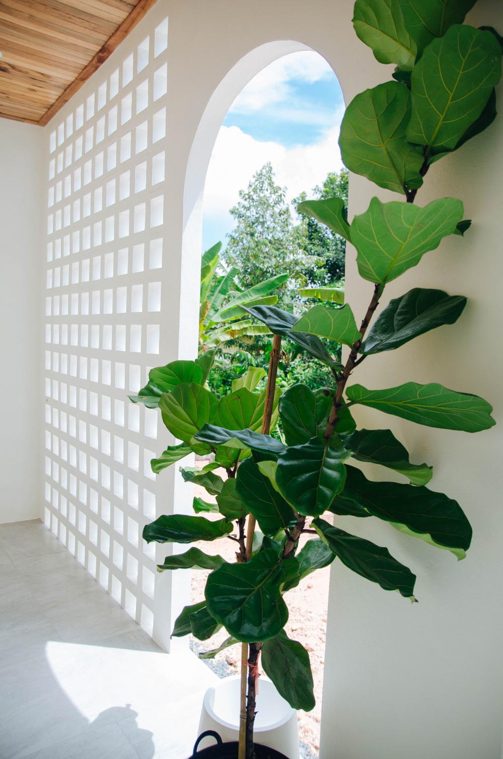 ไอเดียบ้านสวยแบบโมเดิร์นมินิมอล ตกแต่งภายในอบอุ่นน่าอยู่