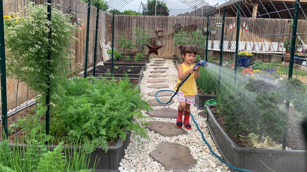 ไอเดียบ้านสวนผักสวยๆที่หลังบ้าน