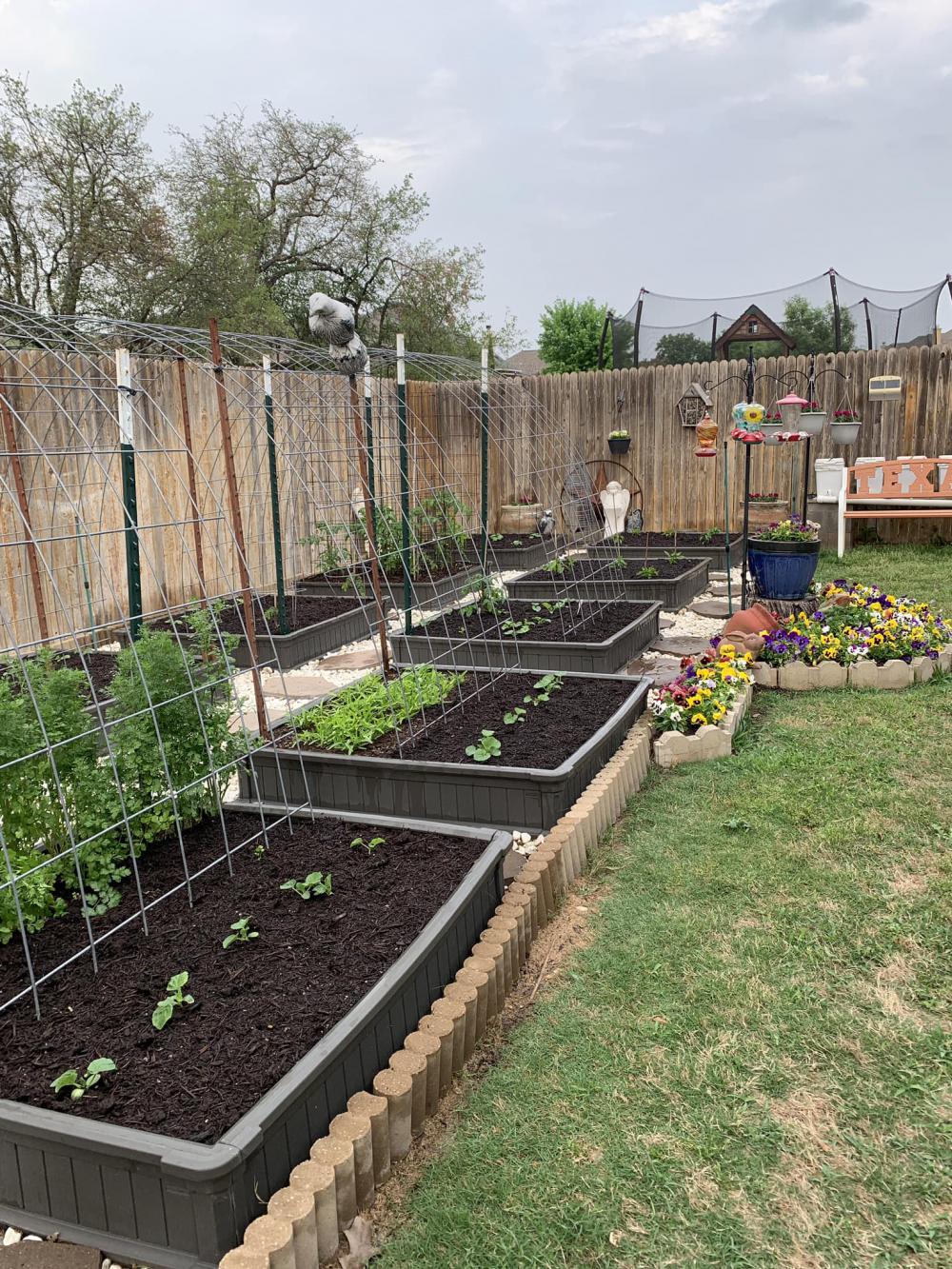 ไอเดียบ้านสวนผักสวยๆที่หลังบ้าน