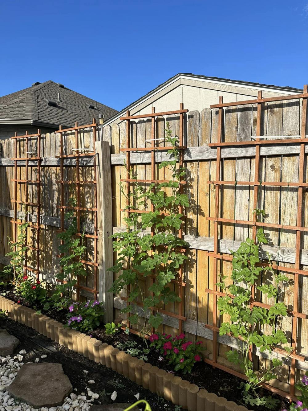 ไอเดียบ้านสวนผักสวยๆที่หลังบ้าน