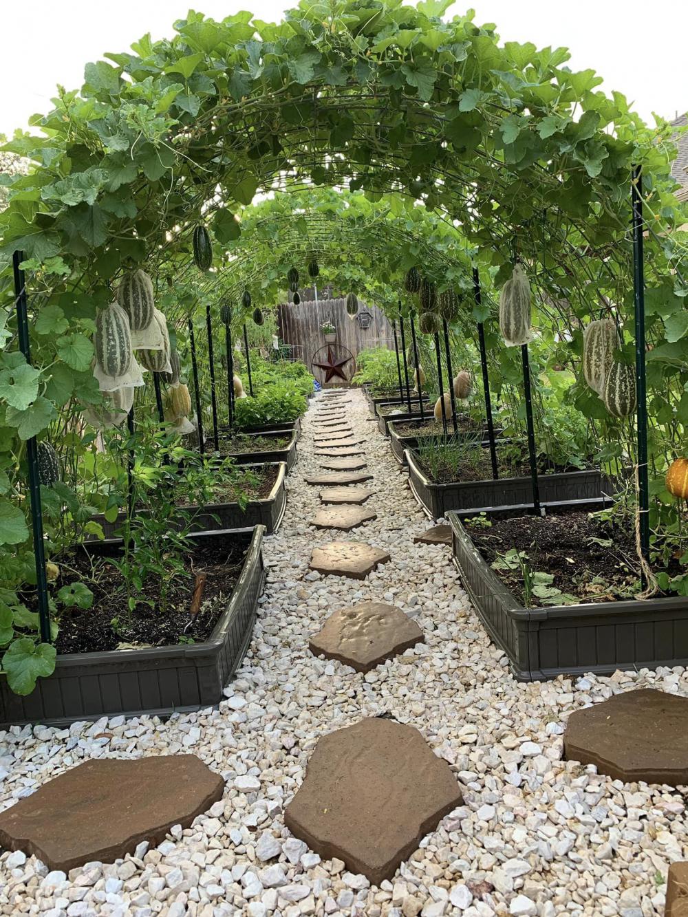 ไอเดียบ้านสวนผักสวยๆที่หลังบ้าน