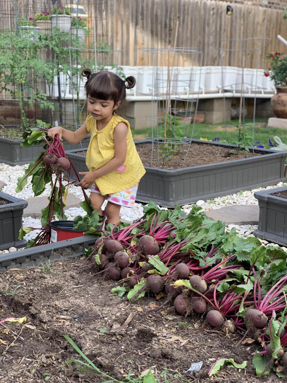 ไอเดียบ้านสวนผักสวยๆที่หลังบ้าน