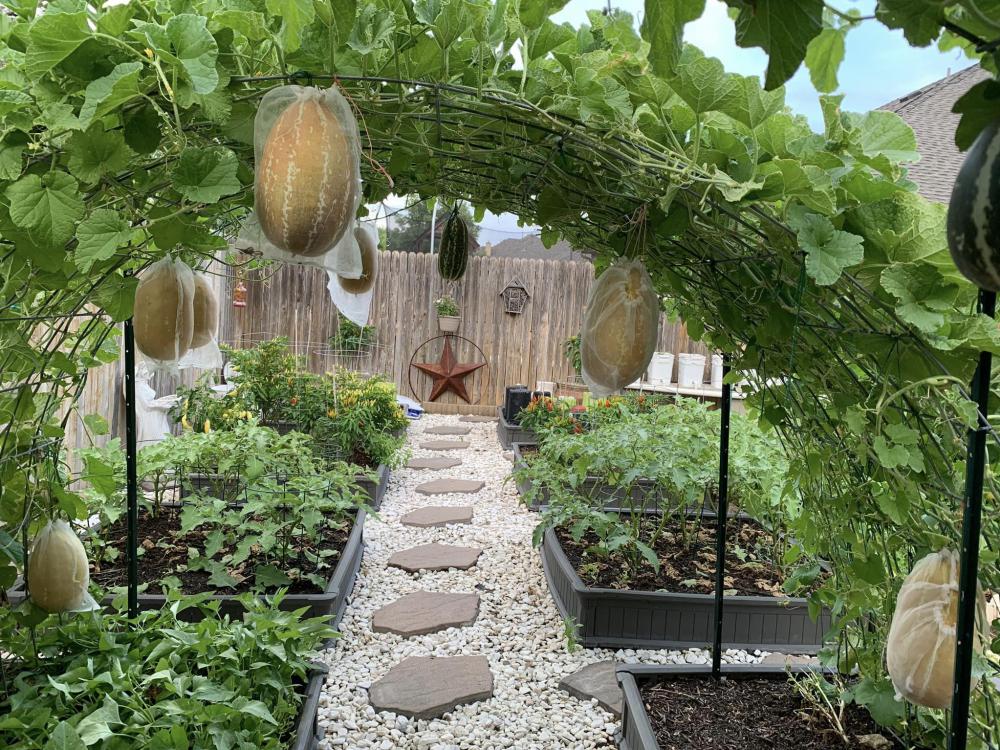 ไอเดียบ้านสวนผักสวยๆที่หลังบ้าน