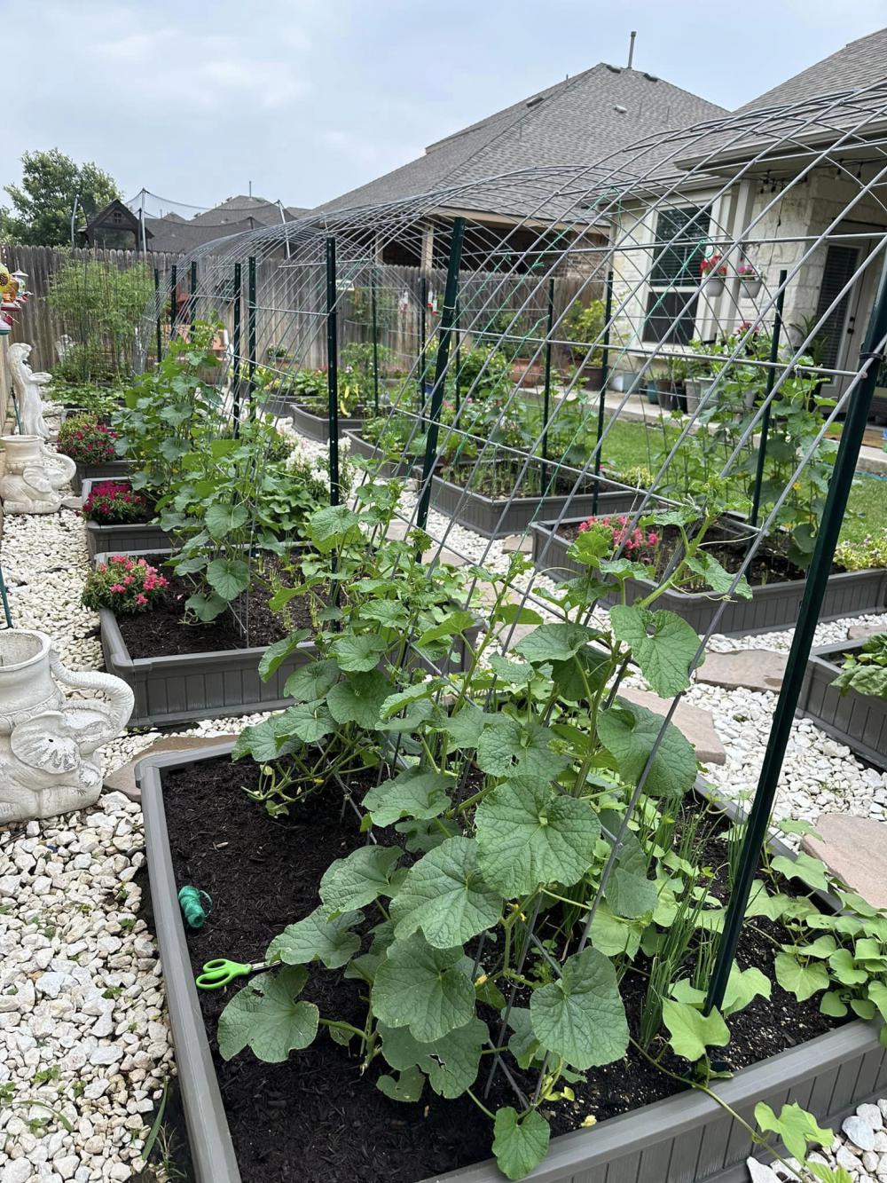 ไอเดียบ้านสวนผักสวยๆที่หลังบ้าน