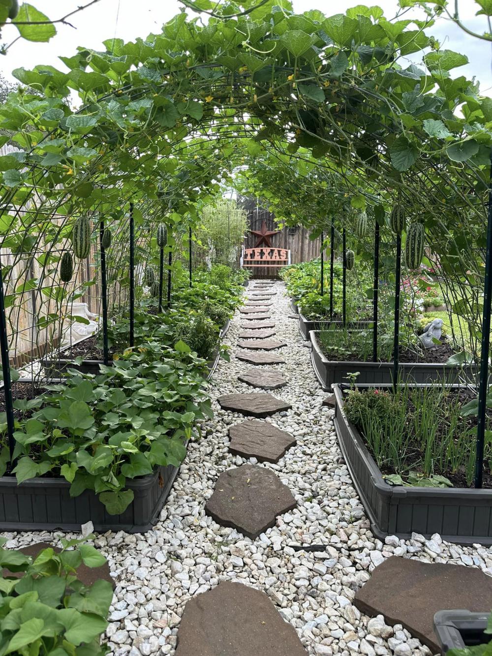 ไอเดียบ้านสวนผักสวยๆที่หลังบ้าน