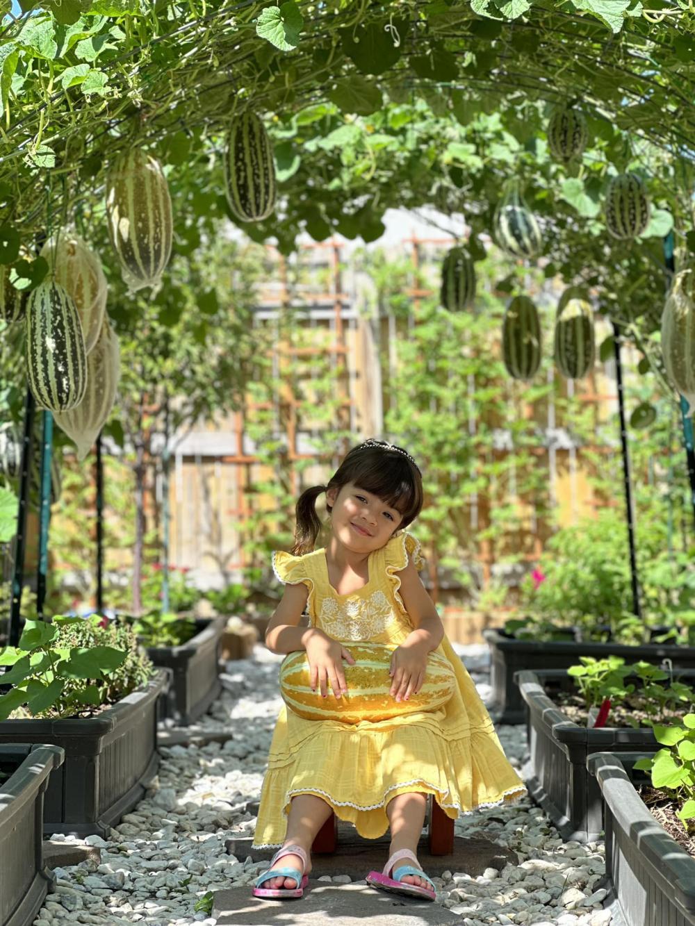 ไอเดียบ้านสวนผักสวยๆที่หลังบ้าน