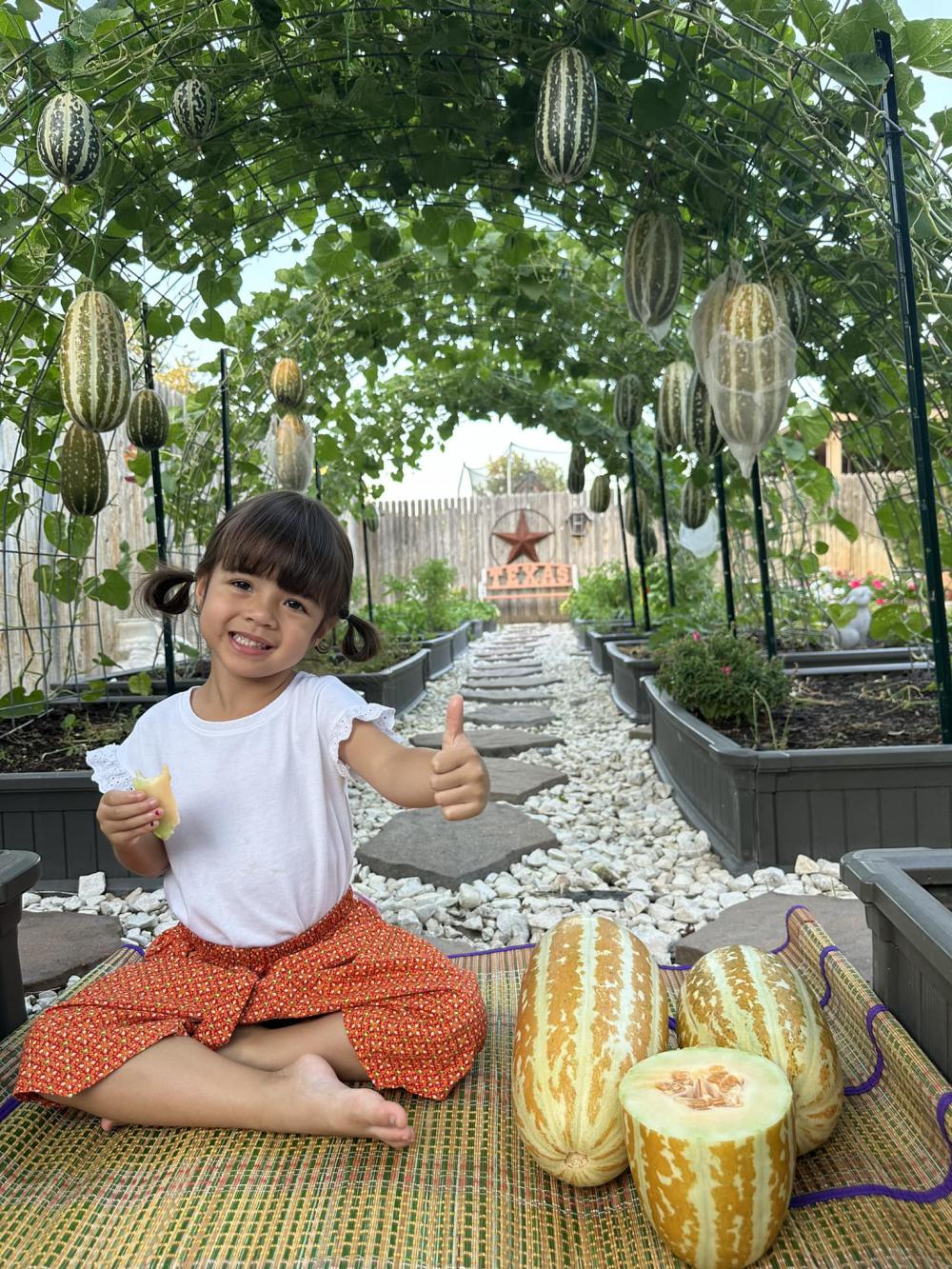 ไอเดียบ้านสวนผักสวยๆที่หลังบ้าน