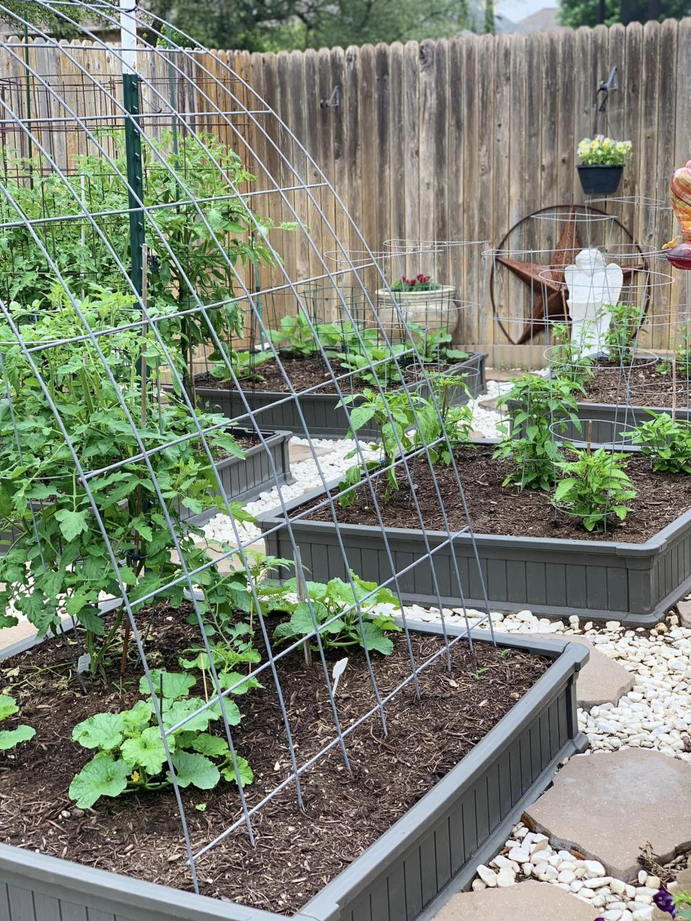 ไอเดียบ้านสวนผักสวยๆที่หลังบ้าน