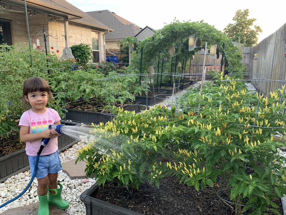 ไอเดียบ้านสวนผักสวยๆที่หลังบ้าน