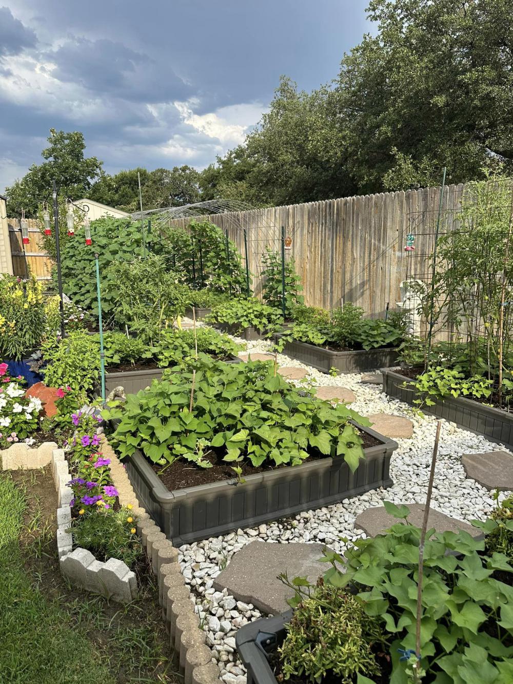 ไอเดียบ้านสวนผักสวยๆที่หลังบ้าน