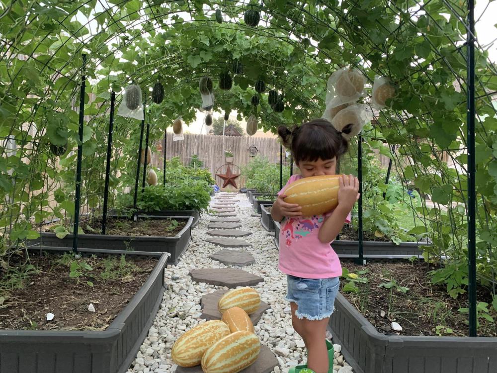 ไอเดียบ้านสวนผักสวยๆที่หลังบ้าน