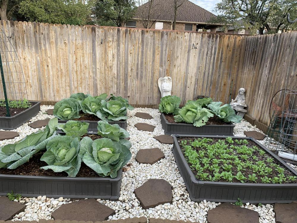 ไอเดียบ้านสวนผักสวยๆที่หลังบ้าน