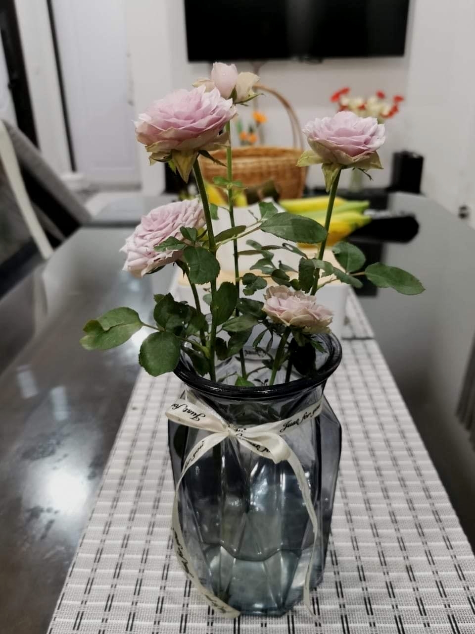 แบบบ้านมินิมอลมูจิ 2 ห้องนอน 1 ห้องน้ำ พื้นที่ 42 ตร.ม. หลังเล็กๆกะทัดรัด