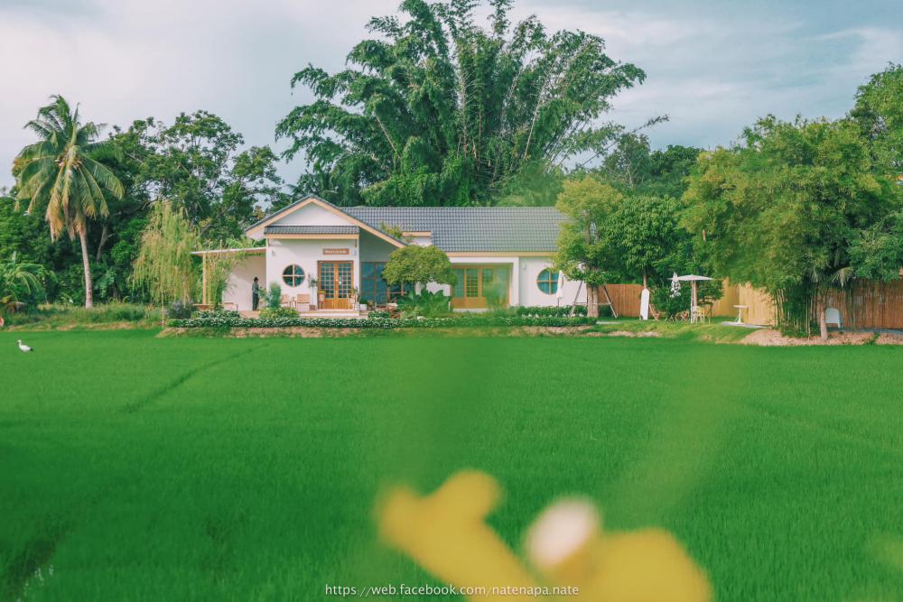 บ้านและร้านคาเฟ่โฮมมี่ ละมุนอยากนั่งทั้งวัน