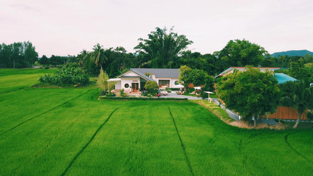 บ้านและร้านคาเฟ่โฮมมี่ ละมุนอยากนั่งทั้งวัน