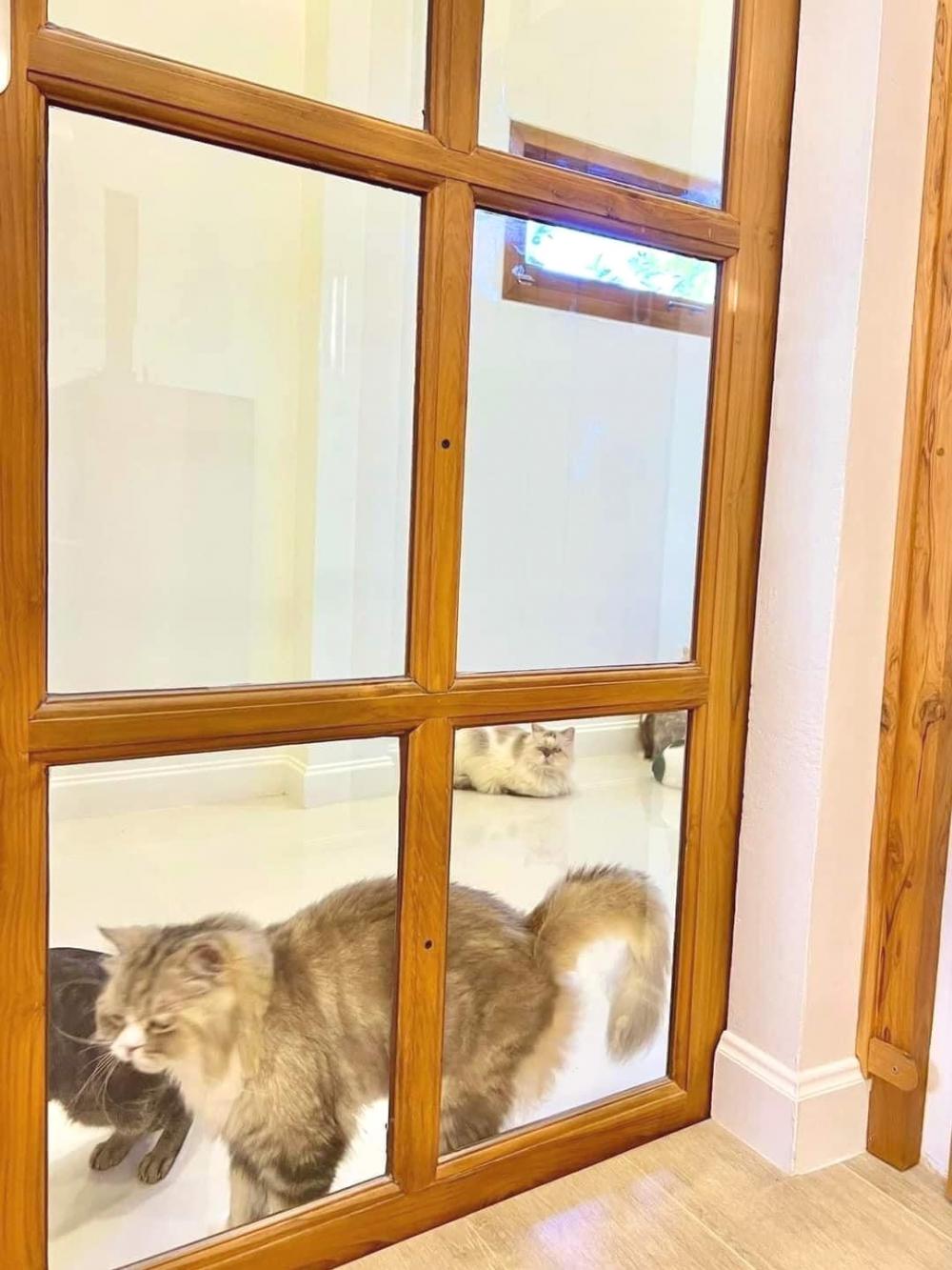 ไอเดียบ้านสวยบ้านสไตล์ญี่ปุ่นมินิมอล